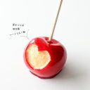 食べられない ハートりんご飴|リンゴ 林檎 アップル 飴 食品サンプル サンプル品 レプリカ 見本 見本品 造花 フェイク イミテーション 材料 部材 花材 店舗 装飾 ディスプレイ 置物 インテリア 小物 撮影 写真撮影 ギフト プレゼント 食べれません taberemasen