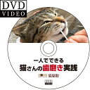 DVD【猫さんの歯磨き実践講座】歯磨き・口内ケアの全過程を完全収録