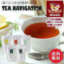 TEA NAVIGATION プレミアムライン 紅茶 ティーバッグ スタンドパック 50包入り 高級 フレーバーティー フルーツティー ハーブティー プレゼント 退職祝い 出産祝い バレンタイン ホワイトデー プチギフト