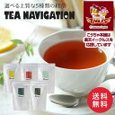 TEA NAVIGATION プレミアムライン 紅茶 ギフト ティーバッグ スタンドパック 100包入 高級 フレーバーティー フルーツティー ハーブティー プレゼント 退職祝い 出産祝い バレンタイン ホワイトデー プチギフト