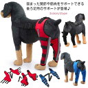 犬 用 関節プロテクター 後ろ足 用 左右セット 膝 サポーター 関節保護 靭帯 保護 術後 治療 後ろ足 犬骨折治療 介護用品 小型犬 中型犬 大型犬用 ペット用品 ペット服 送料無料