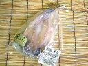【冷凍】【橘水産】対馬のまあじ 2枚 (産地:対馬)※無添加・無着色※「冷凍品のみ」10800円以上のご注文で、「冷凍便」の送料が無料となります