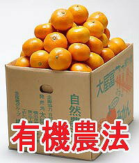 【香川県産】自然農法みかん★ギフト用　5kg（有機JAS認定）＜箱入り＞※なくなり次第終了。売...