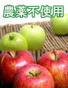 竹嶋農園の自然農法りんごふじ+王林ミックス＜「5kg箱」入り＞※サンふじ・サン王林（無袋栽培）★4/1以降は「クール便配送（ヤマト運輸）」となります。★他商品との同梱不可