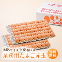 業務用「太陽卵赤玉MSサイズ（108個／100個＋破損保証8