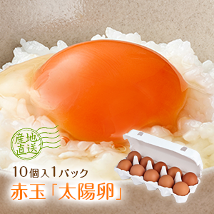 九州産赤玉「太陽卵（10個入り1パック）」送料別 家庭用 小