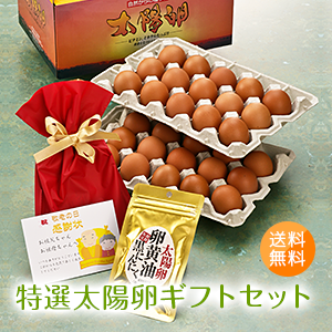 送料無料「特選太陽卵ギフトセット(特選太陽卵30個入り・黒にんにく卵黄油サプリメント60粒入)」お歳暮 贈答用 九州産 赤玉 鶏卵 青森県産にんにく ギフト プレゼント 誕生日 贈り物 お中元