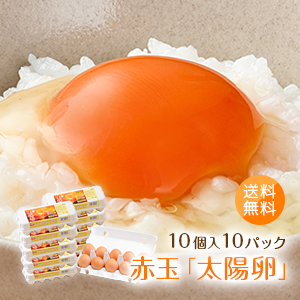 九州産赤玉自然卵「太陽卵（10個入10パック）」全国送料無料／小分け／朝採れ／新鮮／産地直送