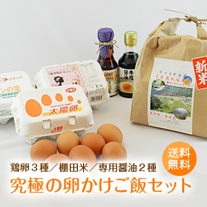 「究極の卵かけご飯セット（九州産新鮮卵3種類×6個入り・棚田米2kg・専用醤油2種類）」赤玉