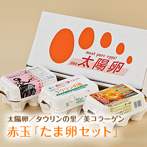 送料無料「たま卵セット（太陽卵・タウリンの里・美コラーゲン（6個入り×3種類）」お試し 九州産 赤玉 贈答用 お歳暮…