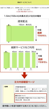 ポリエステルアムンゼン　エンジ【C】