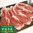 豚肉 肩ロース焼肉 500g　けんとん豚 岐阜県 BBQ 焼肉 バーベキュー 豚肉 ぶた肉 ブタ肉