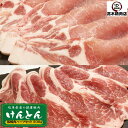 国産豚 焼肉セット 500g 2種類 豚ロース 豚肩ロース 岐阜県 けんとん豚 BBQ 焼肉 バーベキュー