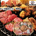 飛騨牛 【送料無料】 飛騨牛 焼肉 セット 600g A5 飛騨牛ロース 国産 豚ロース 桜姫鶏 鶏モモ 和牛ホルモン ポークウィンナー 2〜3人前 バーベキューセット BBQセット