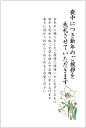 枚数：10枚セット 宛名面：「官製はがき」（胡蝶蘭／63円切手付ハガキ） 喪中のご挨拶に！切手を貼る手間なし♪投函月はご自身でご記入下さい。 スタンダードなデザインなのでオールマイティに使えます！ ご自宅で印刷されたり、文字はご自身で記入される場合は、選択肢の文字なし希望の欄、【希望する】をご選択下さい。