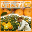 京都/舞鶴市・宮津市産潮風育ち　京都産/　京夏みかん Mサイズ　5kg（約16個入り）/京都府産/京都府/みかん/京夏/摘みたて/くだもの/なつみかん/ナツミカン@