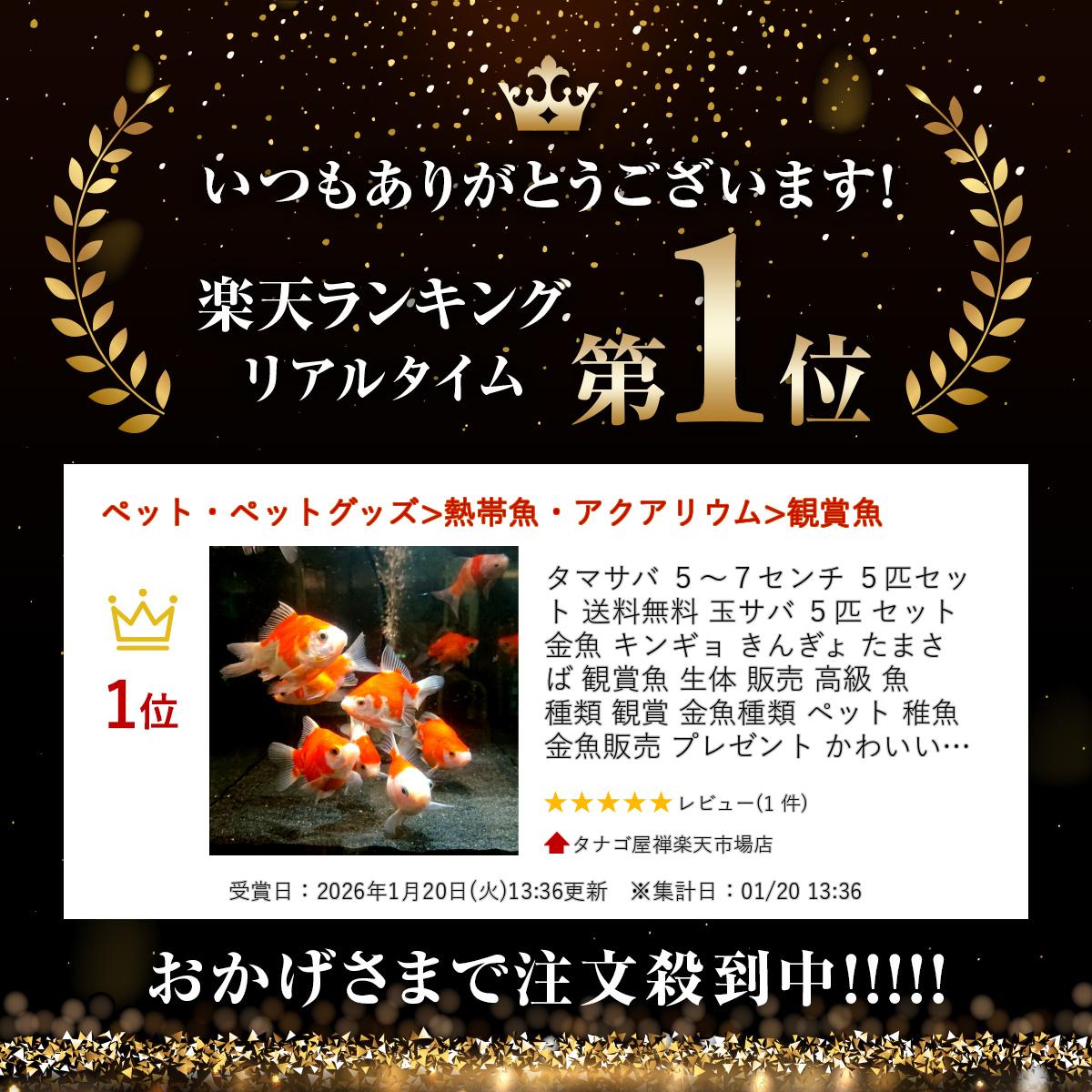 ���ޥ��� 5��7����� 5ɤ���å� ����̵�� �̥��� 5ɤ ���å� ��� ���󥮥� ���󤮤� ���ޤ��� �Ѿ޵� ���� ���� ��� �� ���� �Ѿ� ������� �ڥå� �յ� ������� �ץ쥼��� ���襤�� �İ��� ���� �� �ݷ� ���� �ݷ���� ���� ���饵 ʫ �� �����