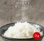 【熊本県産 産山こしひかり(特別栽培米) 5kg】米 お米 白米 送料無料 5kg×1袋 令和4年産 4年産 2022年産 美味しい おいしい 人気 熊本県産 阿蘇 阿蘇山 こしひかり うぶやま村 甘い 九州 種商 お中元 御中元 7,000円