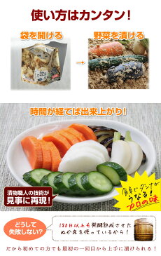 メール便送料無料!テレビ 所さん大変ですよ でも話題のぬか床!漬けもん屋の『ぬか床スタンドパック』メール便専用同梱不可 チャック付きスタンド袋 ぬか漬け 発酵食品 植物性乳酸菌 糠床 ぬかどこ 漬物 熟成ぬか床