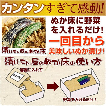 漬けもん屋の『ぬか床カンタンお試しセット』2kg ぬか漬け 発酵食品 植物性乳酸菌 ぬかみそ 糠床 ぬかどこ 熟成ぬか床 漬物 糠漬け ぬかみそ つけもの ぬか漬 容器 宅配便専用 ぬか 樽の味 母の日 お歳暮 御歳暮