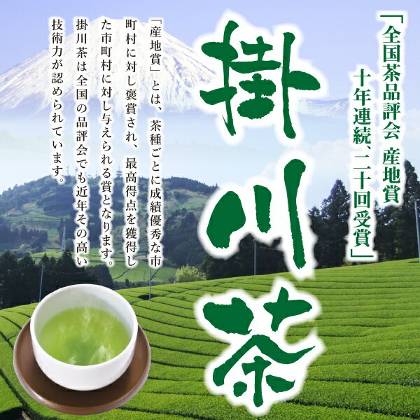 【500円OFF クーポン付き】　銘茶 掛川茶100g×4本 〜お茶 緑茶 煎茶 茶 茶葉 お茶葉 静岡 掛川 国産 深蒸し 深むし 健康 健康茶 色 香り うがい ウイルス対策 藪北 やぶきた カテキン 甘い 美味しい おいしい お徳 お得 冷茶 水出し 氷出し 急須 スーパーセール