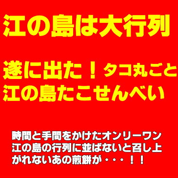 SNSでいま話題の「江ノ島 たこせんべい 訳あり 2袋」が 1000円ポッキリ 送料無料！われせん 割れせんべい 江の島 たこせん スイーツ 福袋 お取り寄せ ギフト アウトレット お菓子 菓子 グルメ せんべい 個包装 煎餅 食品ロス コロナ 母の日ギフト 食品 産直 グルメ食品