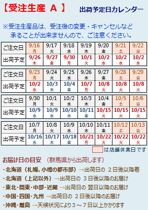 【スーパーSALE期間クーポン有】 遮光カーテン 遮光2級 丸柄 サークル柄 プリント 二重織り 日本製 おしゃれ 5208 巾(幅)100cm×高さ(丈)135・150・178・185・190・195・200・205・210cm 2枚組(入) 遮熱 断熱 幅100センチ【受注生産A】