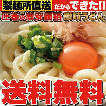 讃岐うどん 鎌田醤油特製だし 醤油6袋付き 6食分600g（300g×2袋） ポイント消化 麺 国産小麦粉