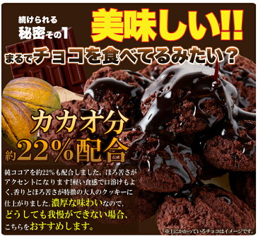 豆乳おからクッキー リッチカカオ 1kg 業務用 チョコレート味 常温商品