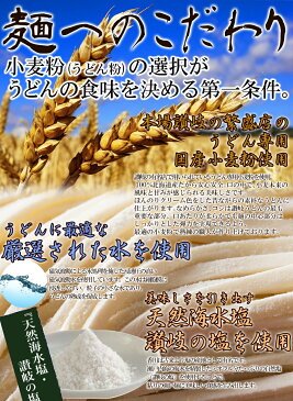 【送料無料】鎌田醤油特製だし醤油9袋付き 讃岐うどん9食分900g（300g×3袋） ポイント消化 麺 国産小麦粉