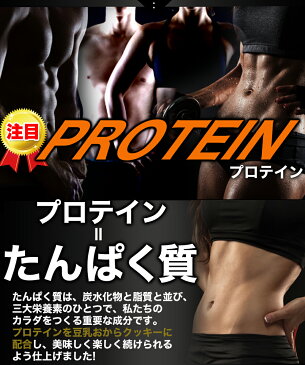 ソイプロテイン配合 豆乳おからプロテインクッキー2kg （常温商品） ダイエット 大豆 スポーツ