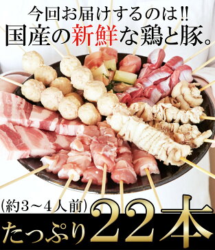 焼き鳥 詰め合わせ セット 九州産 手刺し 22本入り 国産 おつまみ 冷凍商品