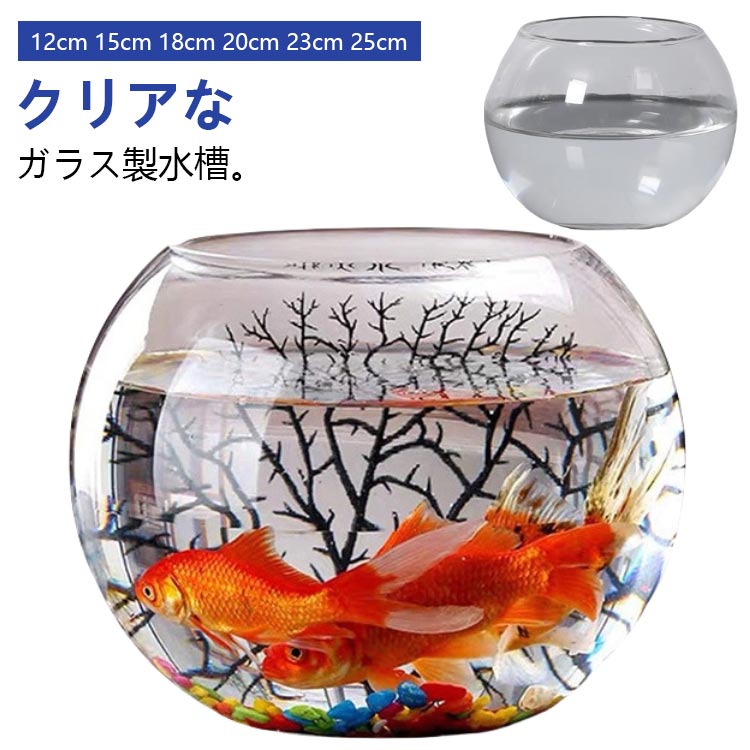 金魚鉢 花瓶 フラワーベース 丸型金魚鉢 水槽 小型水槽 飼育水槽 ミニ水槽 ガラス メダカ 透明 おしゃ..