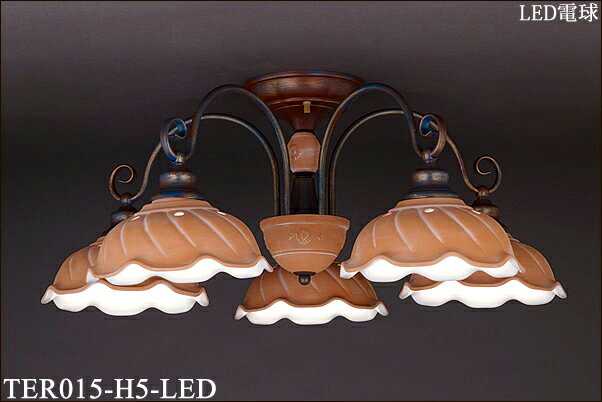 TER015-H5-LED ͥ饤ƥ ƥ饳å꡼ƫ殺5ꥢľեǥꥢ [LEDŵ忧]