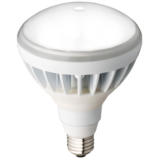 [即日出荷] IWASAKI LDR11N-H/W850A LEDioc LEDアイランプ 11W 〈E26口金〉 昼白色 セルフバラスト水銀ランプ160W・白熱電球135W・180W相当