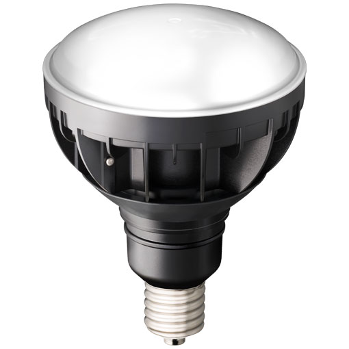 [即日出荷] IWASAKI LDR30N-H-E39B850 LEDioc LEDアイランプ 30W E39口金 昼白色 セルフバラスト水銀ランプ300W 白熱電球270W相当