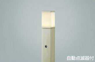 AUE664148 ߾ D.D.-proưǴաȥɥݡ饤ȡ[LEDŵ忧][ॷС]