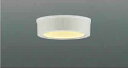 あす楽対応 AU50499 コイズミ照明 壁面取付可能　屋外用小型シーリングライト　
