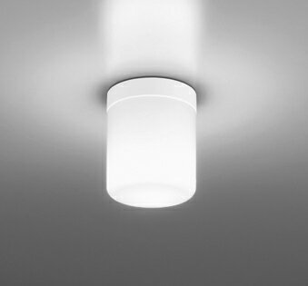 [即日出荷] OW269051NR オーデリック 浴室灯 キッチン LED電球昼白色 防湿型