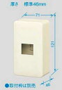 WV7002W パナソニック フルカラー配線器具・電材 露出増設ボックス2コ用 (ミルキーホワイト)