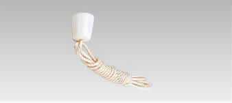 DS2611C-YO-HIMO ǥ饤ƥå ΥӡåѤҤ