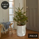 【12時までのご注文で当日出荷】shesay シセイ LEDライト ワイヤーライト ブランチ グロート CP ブロンズ 電池式 タイマー クリスマス クリスマス...