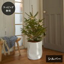 shesay シセイ LEDライト ワイヤーライト ブランチ グロート SL シルバー 電池式 タイマー クリスマス クリスマスツリー オーナメント イルミネーション Horn Please ホーン プリーズ