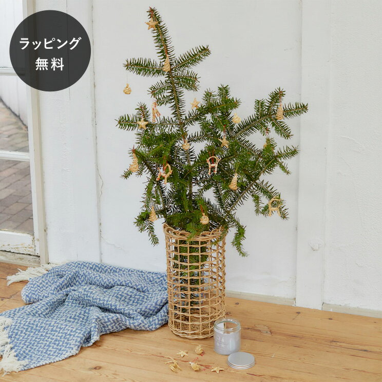 【12時までのご注文で当日出荷】shesay シセイ クリスマス ストロー オーナメント セット 16pcs レッド ゴールド ディスプレイ クリスマスツリー ...