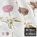 【平日7日以内に出荷】スミノエ ULife ユーライフ レースカーテン「U9024〜U9025」 幅〜90cm×丈〜200cm