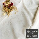 【最短6営業日で出荷】ジャカードレースカーテン「Sonia ソニア ベージュ」 幅～200cm×丈～140cm