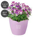 【7営業日以内に出荷】名入れ ハートポット栽培キット ビオラ 日本製 栽培 花 植物 キット