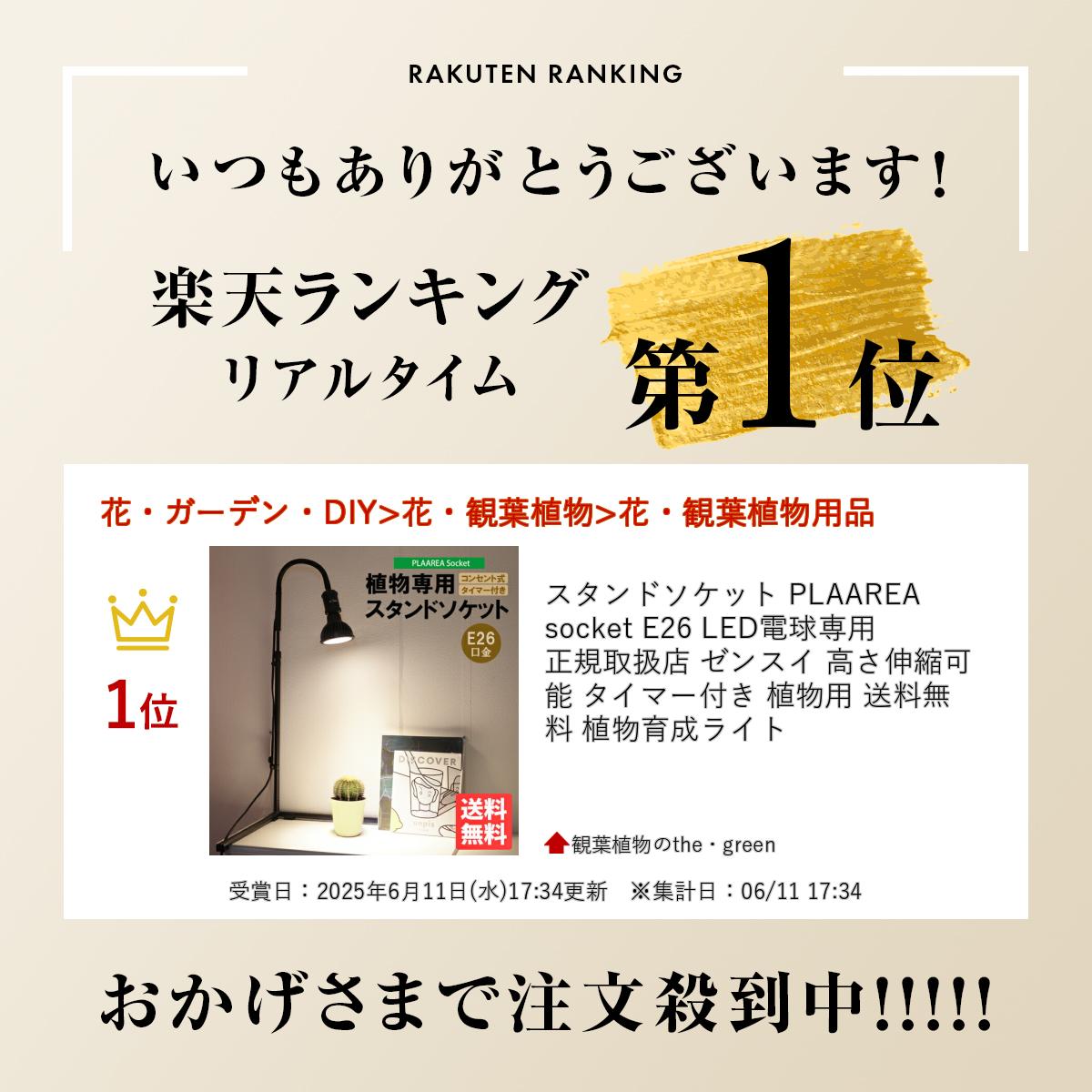 スタンドソケット PLAAREA socket E26 LED電球専用 正規取扱店 ゼンスイ 高さ伸縮...
