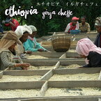 エチオピア イルガチェフェ 100g 送料無料 まろやかなコク、軽やかなモカの香り　おっ!?