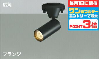 【ワンダフルデーポイント3倍】スポットライト 屋内用 階段 廊下 トイレ 内玄関 ※工事必要 天井・壁面取付可 指定の角度まで傾斜天井可 白熱灯40W相当 電球色(2700K)